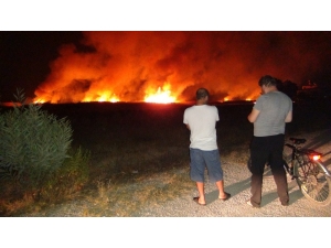 Göksu Deltası’nda Çıkan Yangın Evleri Teğet Geçti