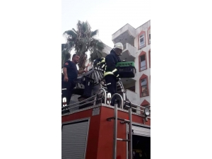 Alanya’da Köpekten Kaçarken Ağaçta Mahsur Kalan Kedi Kurtarıldı