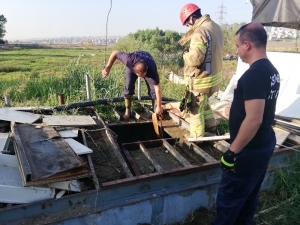 Avcılar’da Su Kuyusundan Kurbanlık Dana Kurtarma Operasyonu