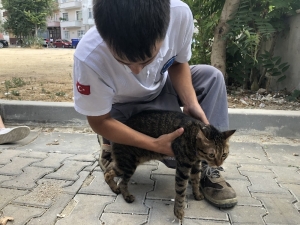 Alevlerin Arasında Kalan Kediyi İtfaiye Böyle Kurtardı