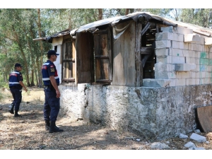 400 Ev, 119 Metruk Bina Ve 645 İşyeri Denetlendi