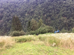 Uçuruma Yuvarlanan Araç 1 Gün Sonra Fark Edildi