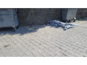 5 Metre Yükseklikten Düşen Yaşlı Adam Hayatını Kaybetti