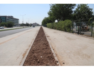 Karacadağ Bulvarı’na Hizmet Eli Değdi