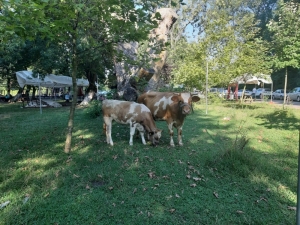 Bakımsız Kent Ormanı Çöplüğe Döndü