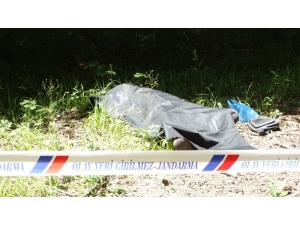 Ormanda Ceset Bulundu