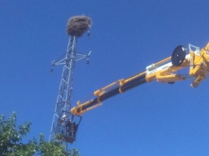 Leylek İçin Seferber Oldular