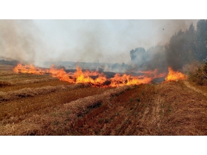 300 Dönüm Anız Yeri Alev Alev Yandı