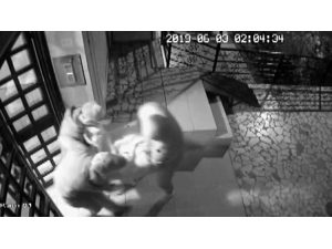 İçerisinde 800 Bin Tl’lik Döviz Ve Ziynet Eşyası Bulunan Kasayı Çalan Hırsızlar Yakalandı