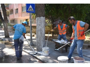 Nazilli’de Bayram Temizliği Başladı