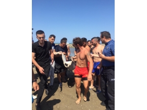 Aile Faciasını Cankurtaranlar Son Anda Önledi