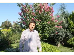 İmam Camiyi Botanik Bahçesine Çevirdi