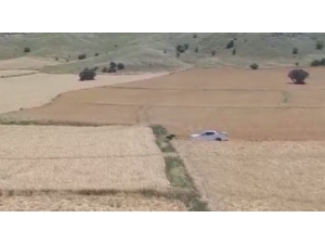 Yardıma Gittikleri Ayının Saldırısıyla Karşılaştılar