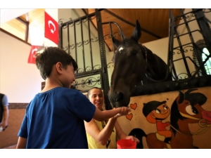 Atlı Eğitim Merkezi İle Hayvan Sevgisi Aşılanıyor