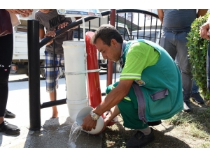 Tarsus’ta Sokak Hayvanlarına Özel Suluk Ve Mama Kapları