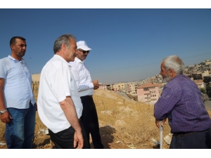 Kuş Mahalle Gezilerine Devam Ediyor