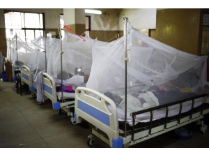 Bangladeş’te Dang Humması Salgınında Rekor