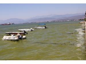 Başkan Gürün; "Körfezdeki Rengin Tarımsal İlaçlardan Olduğu Tespit Edildi"