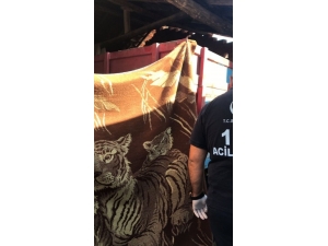 Römorkun Altında Can Verdi