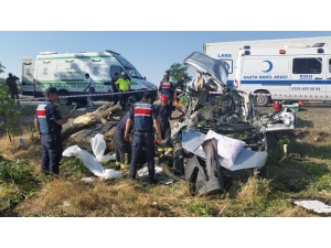 Hafif Ticari Araç Ağaca Çarptı: 3 Ölü