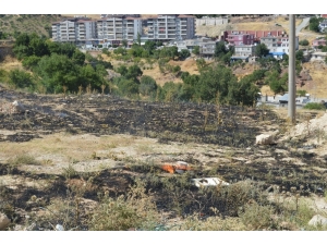 Besni’de Anız Yangını Korkuttu