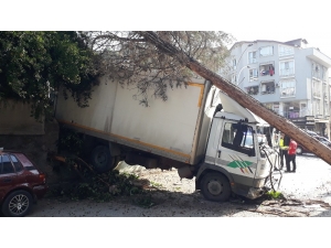 Yasak Olan Yokuşa Giren Kamyonet Freni Patlayınca Ağaçları Yerinden Söktü