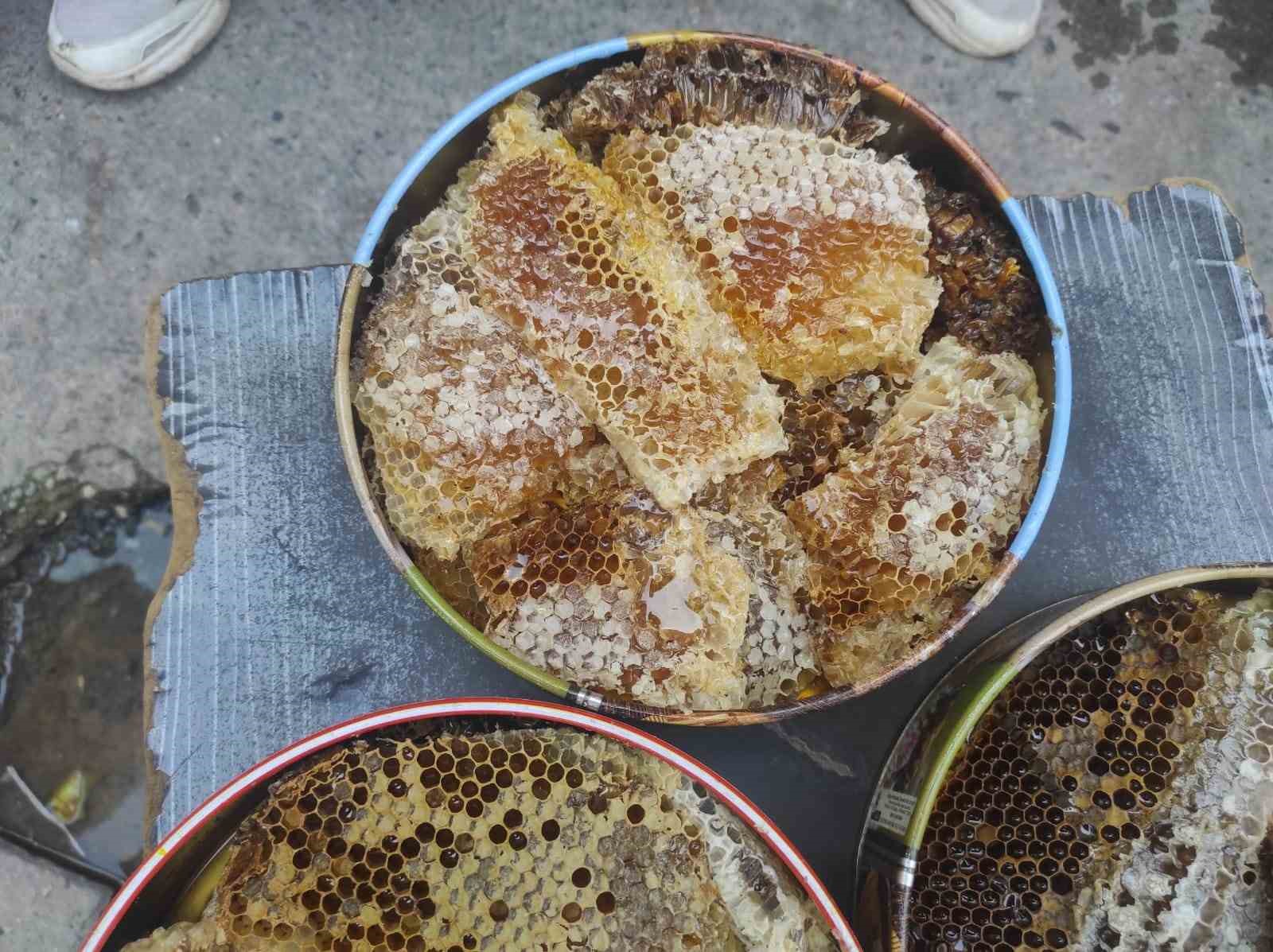 sason-da-agac-kovuklarindan-cikan-balin-kilosu-ceyrek-altini-geride-birakti
