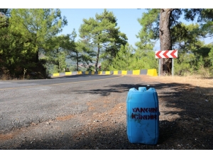 Orman Yangınlarına Savaş Açtılar