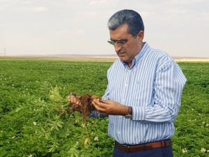 Recep Konuk: “Bakım Avansı İle Verim İçin Üreticinin Yanındayız”