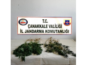 Çanakkale’de Uyuşturucu Operasyonu: 1 Gözaltı