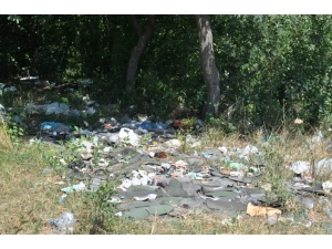 Kars Kent Ormanı Kaderine Terk Edildi