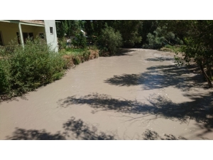 Tohma Çayındaki Kirlilik Ve Balık Ölümleri Korkutuyor