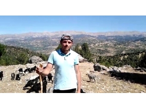 Çobanlık Yaparak Üniversiteye Hazırlandı, 536,84 Puan Aldı