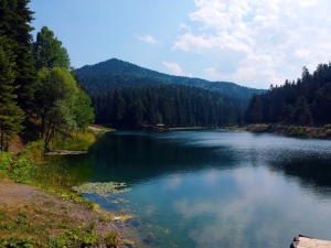 Sinop’ta Saklı Cennet: Akgöl Tabiat Parkı