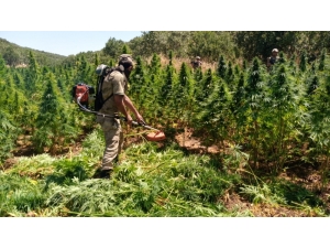 Terörün Finans Kaynağına Büyük Darbe