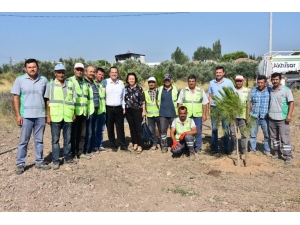 Başkan Dutlulu ‘Daha Yeşil Bir Akhisar’ İçin Kolları Sıvadı