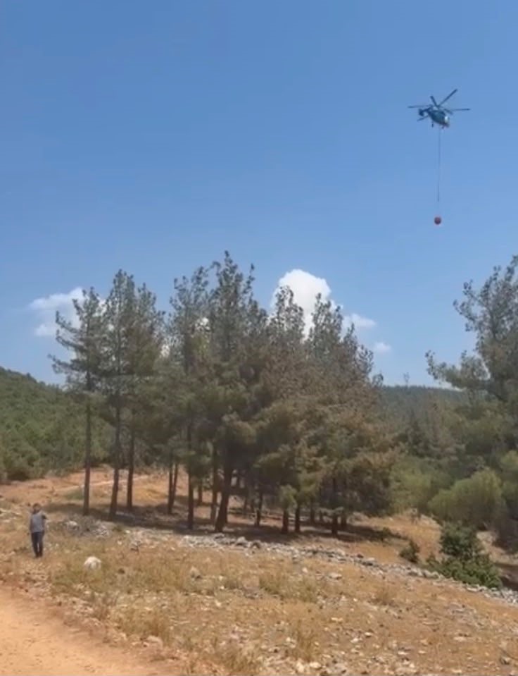 gaziantep-te-orman-yangini-havadan-ve-karadan-mudahaleyle-sonduruldu