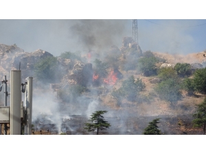 Tokat’ta Aşırı Sıcaklar Ot Yangınına Neden Oldu