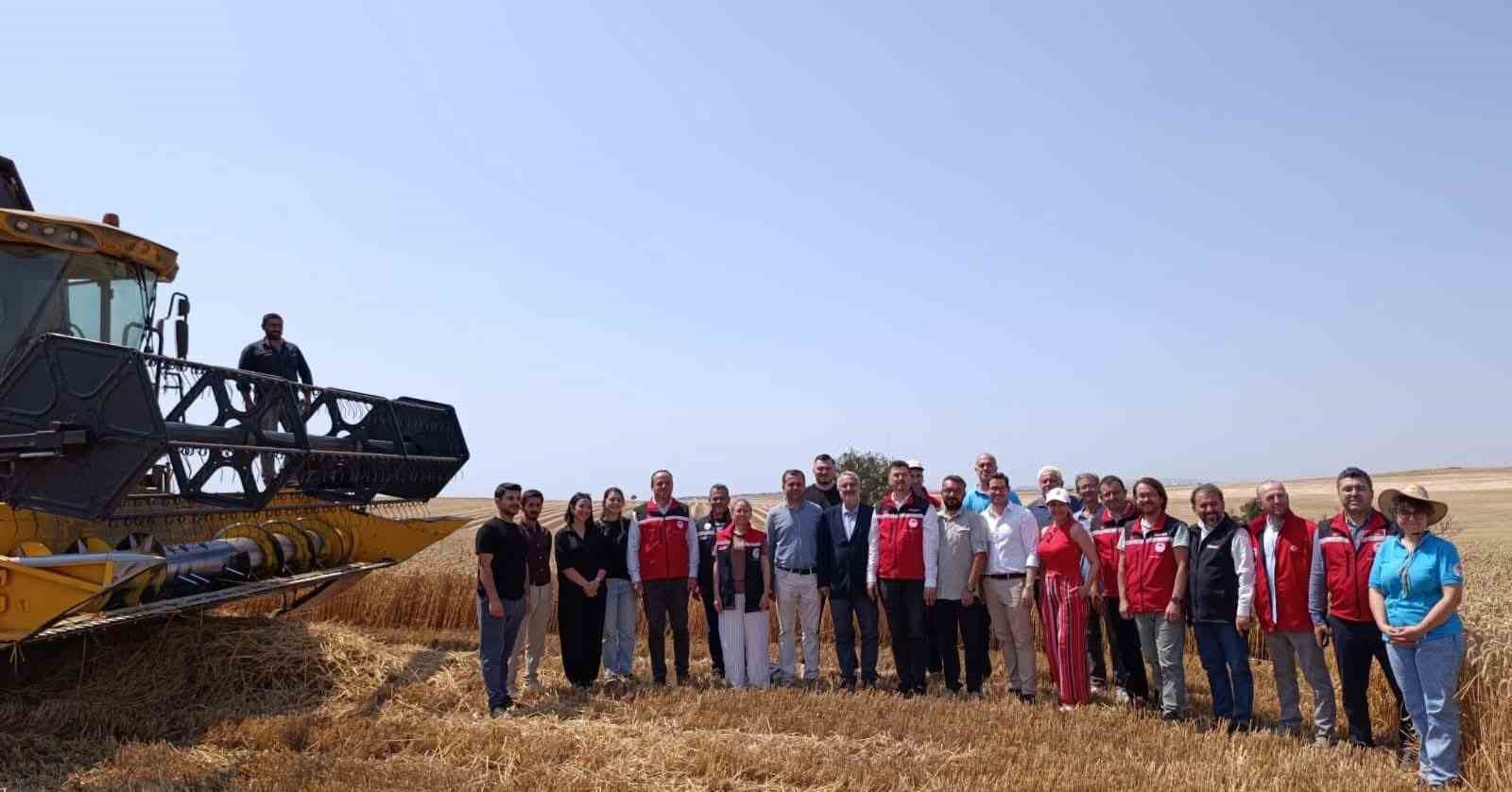 tekirdag-da-bitkisel-yag-uretiminde-gida-guvenligi-mercek-altinda
