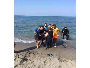 20 Yaşındaki Genç, Denizde Boğuldu