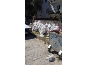 Toksöz: “Çevreyi Temizlemek Bizim, Korumak İse Hepimizin Görevidir”