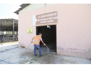 Hijyenik Bir Bayram İçin Belediye Ekipleri Sıkı Çalışıyor