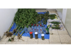 Emniyetten Uyuşturucuya Geçit Yok