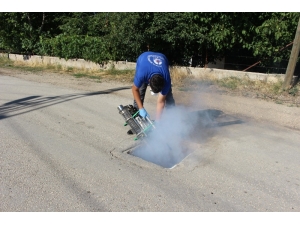 Büyükşehirin Haşere Mücadelesi Sürdürdü