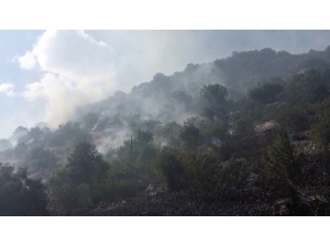 Gölbaşı’nda Ormanlık Alan Yandı