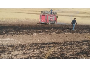 70 Dönüm Ekibi Buğday Tarlası Yandı