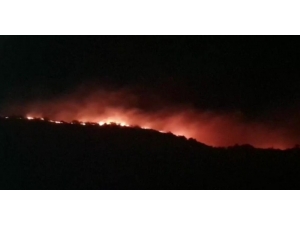 Elazığ’da Orman Yangını