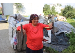 “Her Şey Çocuklarım İçin” Dedi, Parasını Çöpten Kazanmaya Başladı