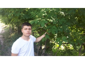 Ceviz’de Son 10 Yılın En Yüksek Verimi Bekleniyor