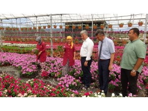 Kazdağları’nı Çiçek Açtıracak Projeyi İncelediler